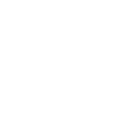 Anasayfa